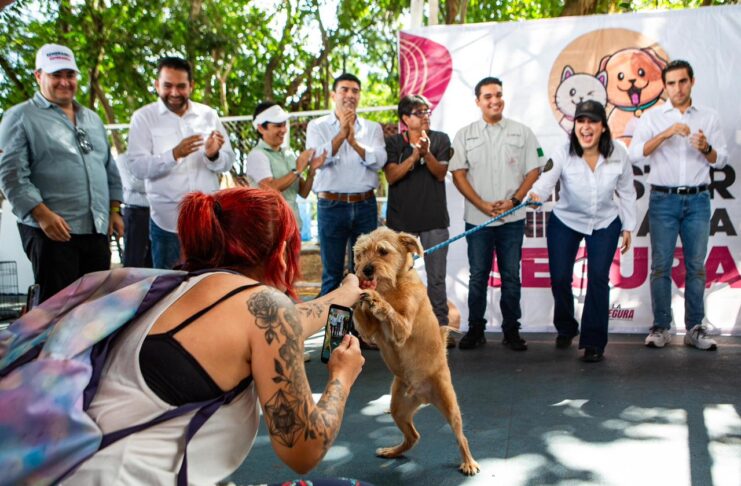 https://vozdemx.com/destacado/las-siete-mujeres-que-lideran-la-politica-en-quintana-roo/